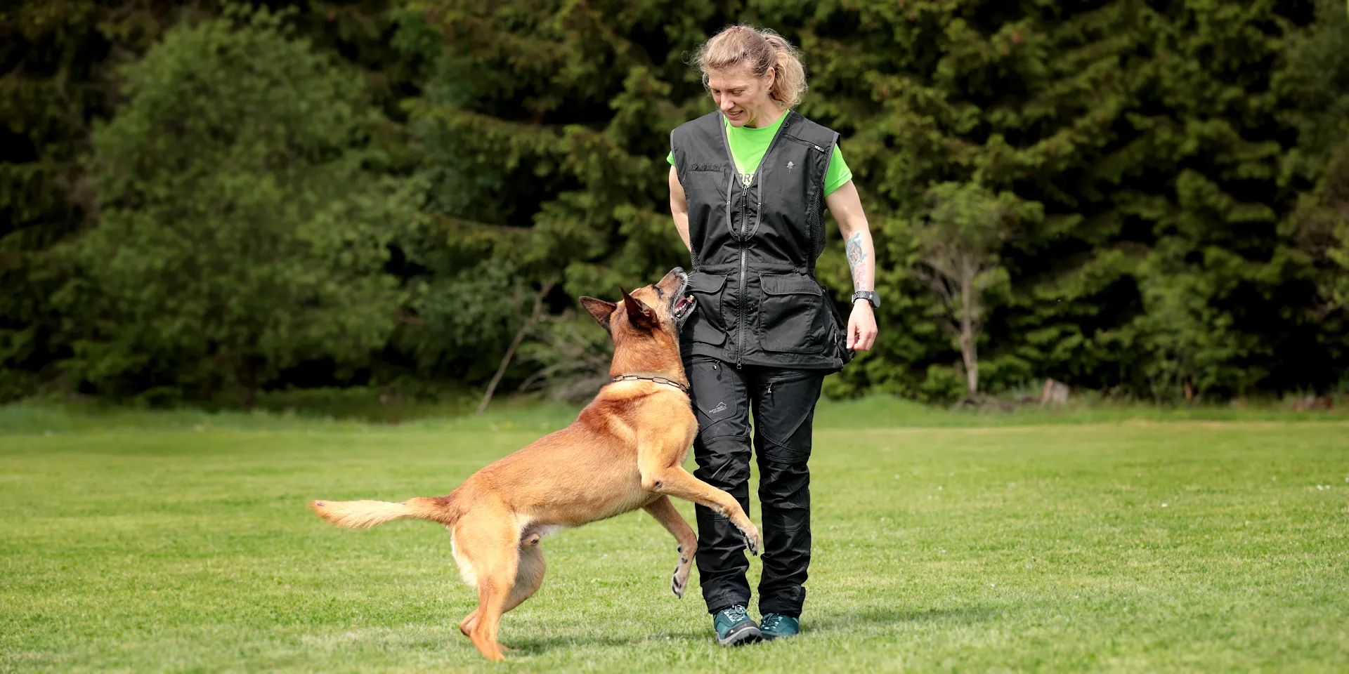 Startbanner_pinewood_2.0