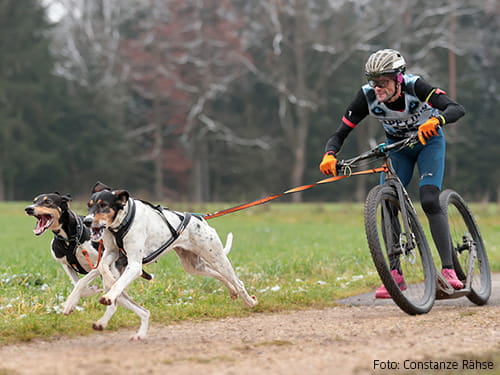VDSV Spitzenteams haben Lauf im Griff