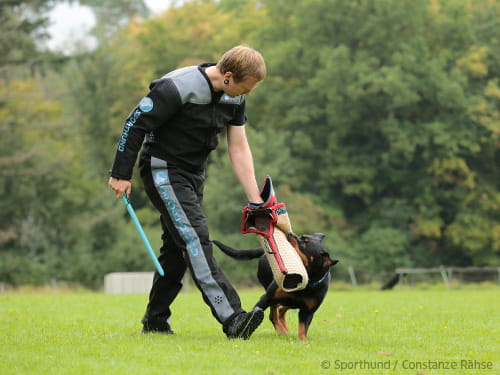 „Wer geht schon mit einem Hetzarm über die Straße?!“ Teil 2
