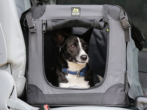 Mobiles Zuhause für deinen Vierbeiner