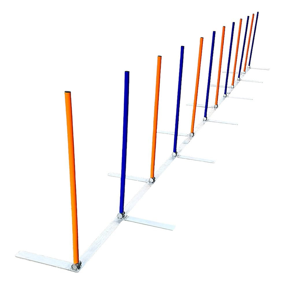 Dogsworld Agility Übungsslalom