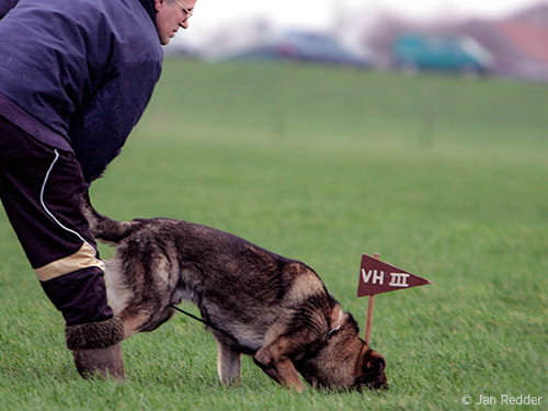 Wenn Blinde von Farben sprechen…