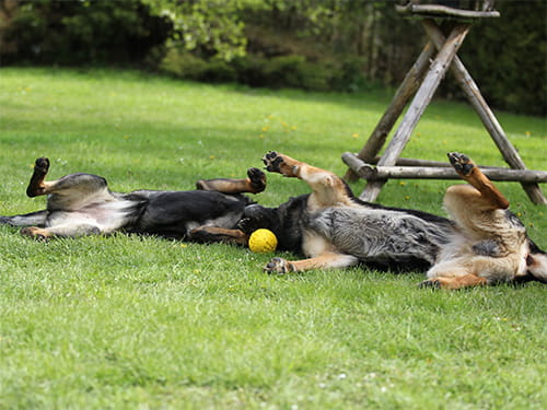 SYNCHRON-YOGA - die neue Herausforderung