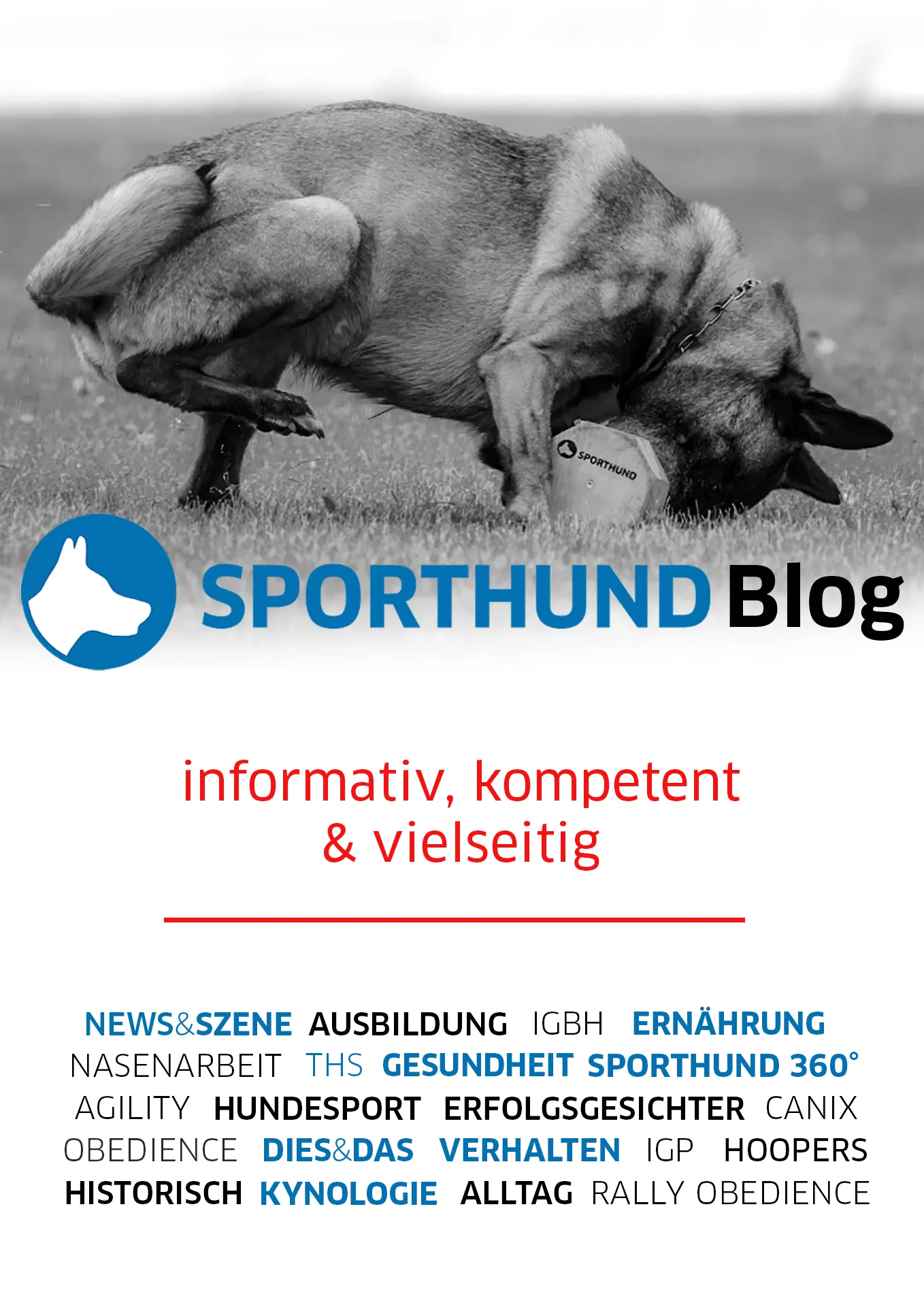 Shopbanner_Blog_hoch