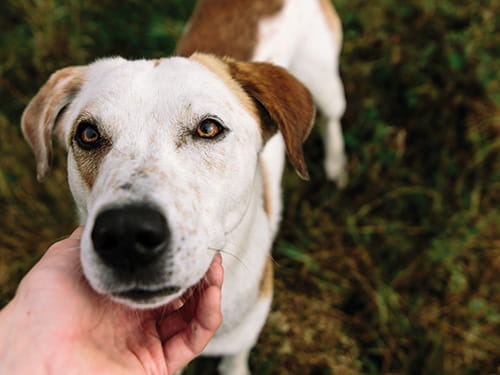 Big brother is watching you