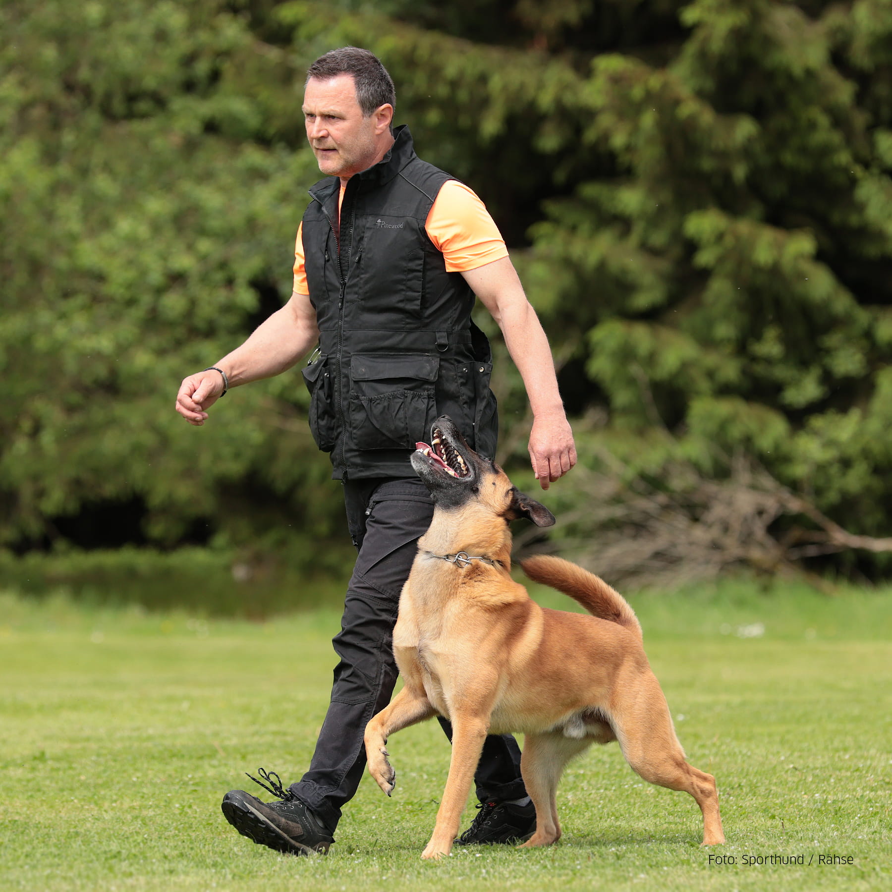 Dog Sports Expert Weste Herren Schwarz XL
