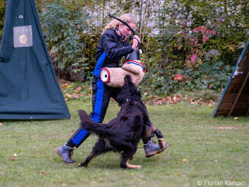 Diversity im Hetzanzug