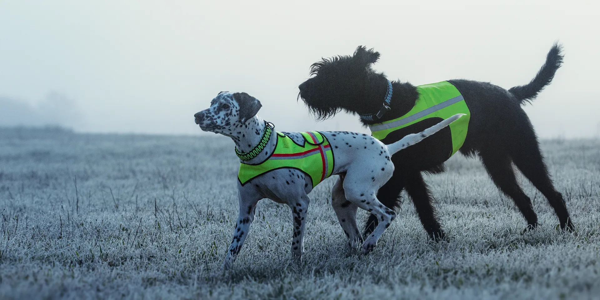 Startbanner_visupart