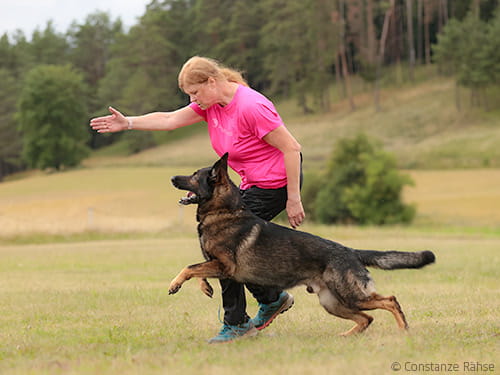 Tellerrand ja, aber wechseln: eher nein!