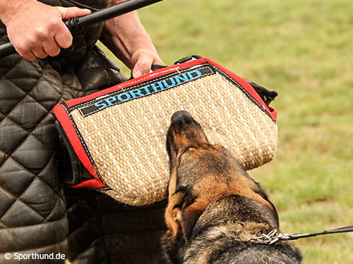 YAVIEBUS – ein Hybrid