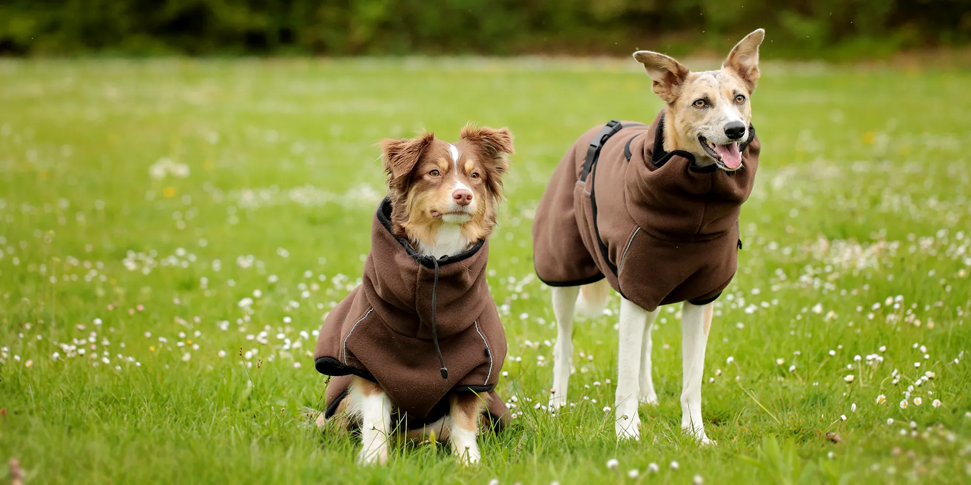 Startbanner_actionfactory_warmup_moccapro