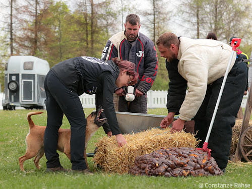 Motto-Party im Hundesport