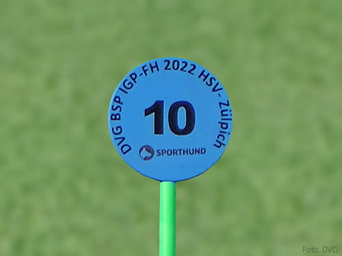 DVG FH Bundessieger Cölestin Ohrmann im Interview