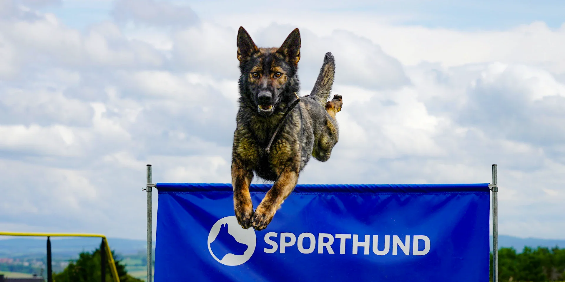 Startbanner_mobilehuerde