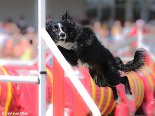 Hinter dem Horizont gehts weiter