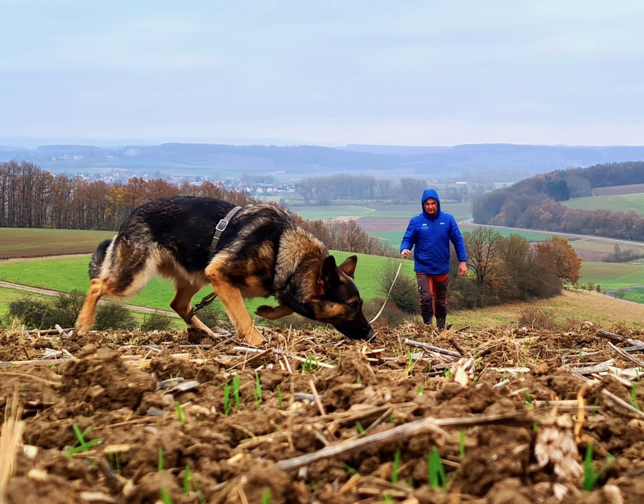 Wenn die Fährte plötzlich aufhört