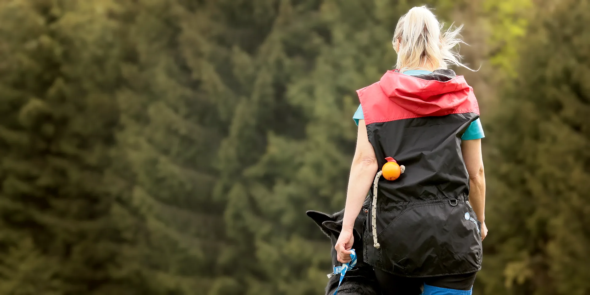 Startbanner_top_matic