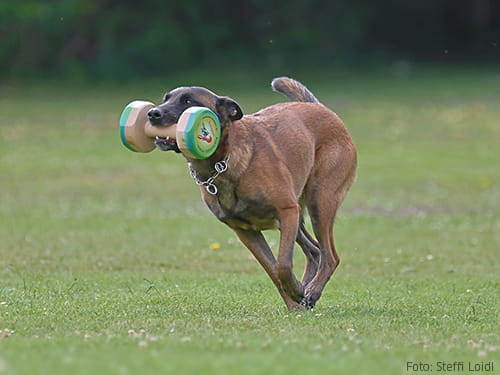 Review Rebmesser Pokal 2023