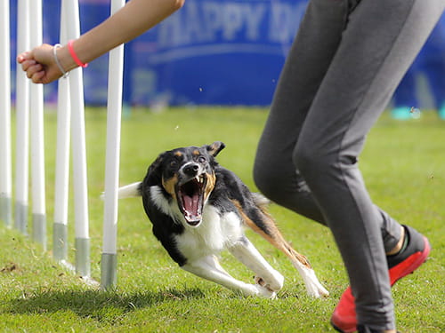 Stress: Fluch oder Segen?