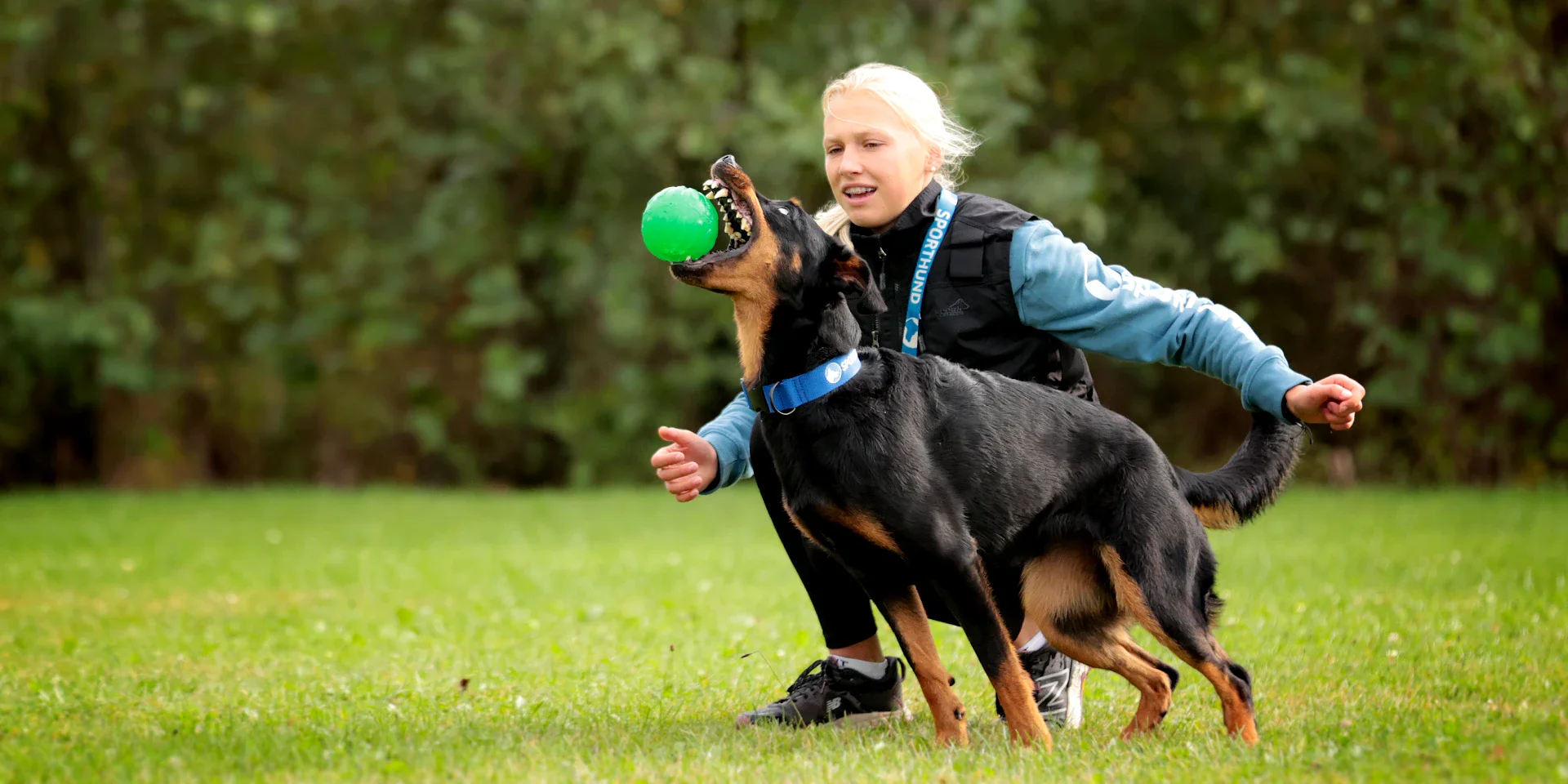 Startbanner_starmark_treatdispending