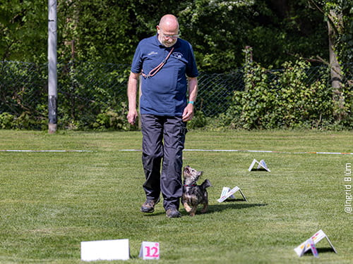 Unterschiedlichste Teams mit gleichen Zielen