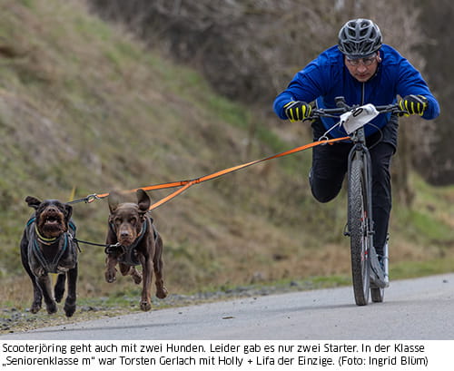 Torsten Gerlach Scooter mit zwei Hunden