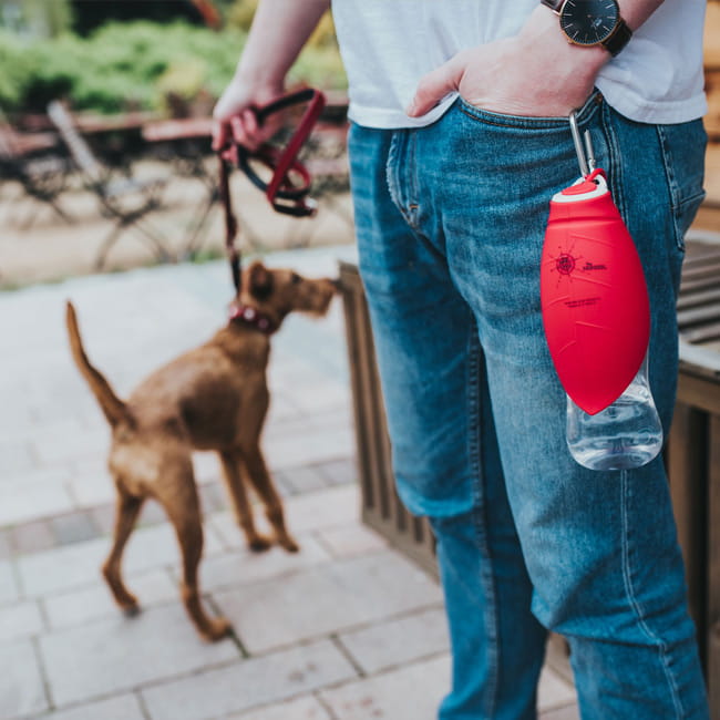 Hunter Outdoor Trinkflasche mit Silikonnapf, Futternäpfe / Wassernäpfe, Hundebedarf