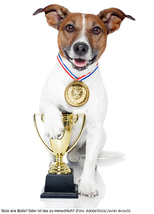 Ist der Hund stolz auf den Pokal oder wir?