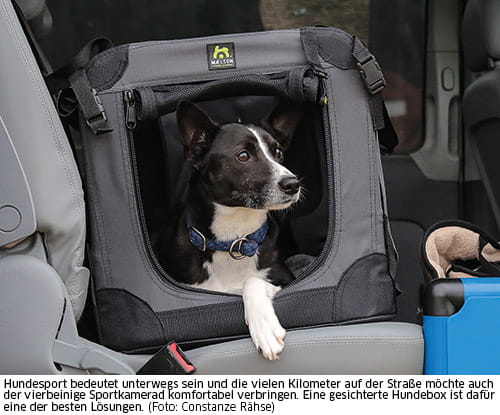 Hunde sollten im Auto nur in der Box transportiert werden