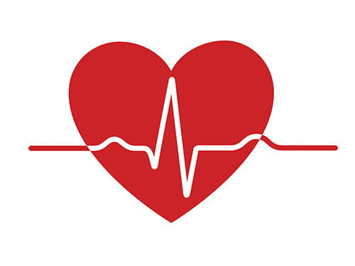 Herz-Kardiogram